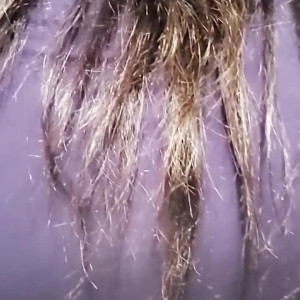 Video by diamondjackson published on April 1,2023 21:52:00 - BestThots