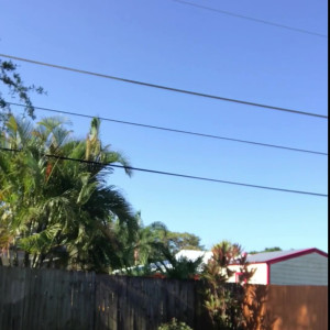 Video by diamondjackson published on June 11,2023 20:15:00 - BestThots