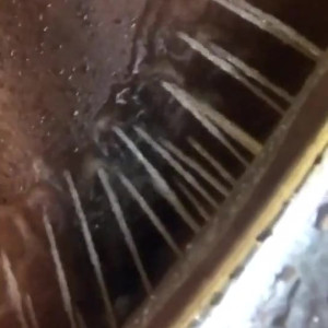 Video by diamondjackson published on July 29,2023 13:38:00 - BestThots