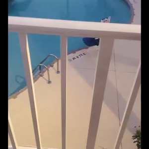 Video by diamondjackson published on June 24,2023 12:28:00 - BestThots