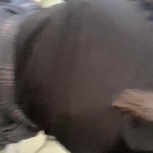 Video by laylalovelyxxx published on July 5,2023 21:54:00 - BestThots