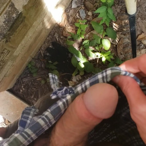 Video by mushroombuddy published on March 4,2023 23:29:00 - BestThots