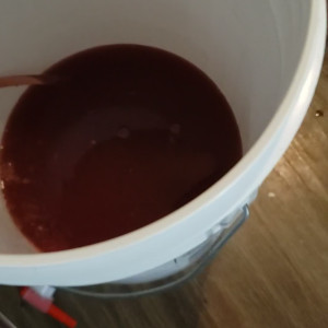 Video by mushroombuddy published on August 14,2023 03:03:00 - BestThots