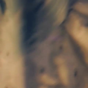 Video by aleighajames published on March 26,2023 04:33:00 - BestThots