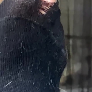 thesadsuccubus #4333217