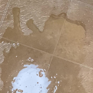 Video by clementinevip published on January 10,2024 08:16:06 - BestThots