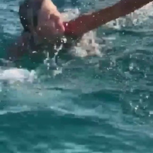Video by southernbellecowgirl published on April 24,2023 14:02:00 - BestThots