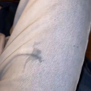 sneakerbottom_wue #3469311