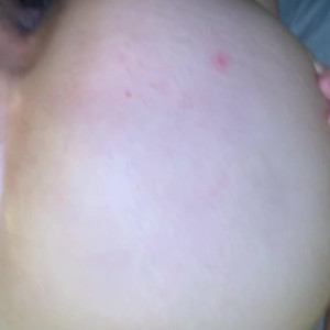 arabiczena #4507810
