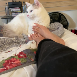 Video by skye.fauve published on July 5,2023 19:52:00 - BestThots