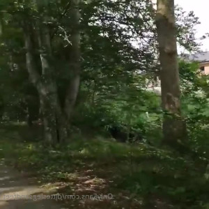 Video by ditteslegsandfeet published on April 5,2023 13:13:00 - BestThots