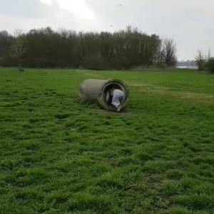 Video by veronavandeleur published on June 14,2023 04:57:00 - BestThots