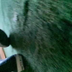 Video by awwshuxxx published on April 1,2023 12:03:00 - BestThots