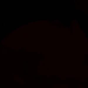 Video by meganjohnson published on April 20,2023 11:14:00 - BestThots