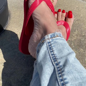 snowyarches #3788940