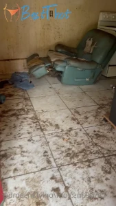 onlyfansamber #9747174