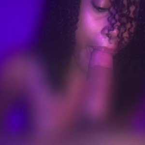 kattfree #3471650