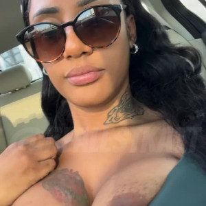 kattfree #3471657