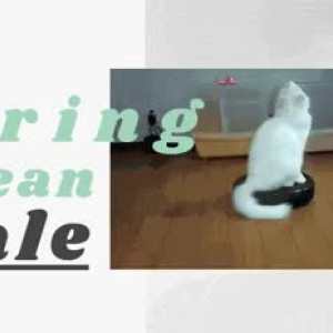 Video by banginpromos published on August 21,2023 16:08:46 - BestThots