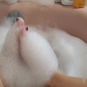 Video by nadiawhite666 published on August 27,2023 04:40:00 - BestThots