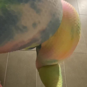 Video by myliemoore published on March 14,2023 03:08:00 - BestThots