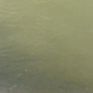 Video by myliemoore published on March 10,2023 12:02:00 - BestThots