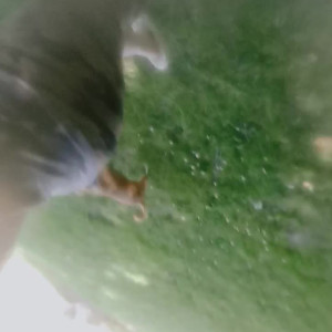 Video by myliemoore published on March 31,2023 15:54:00 - BestThots