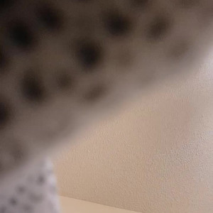 Video by myliemoore published on April 17,2023 08:01:00 - BestThots