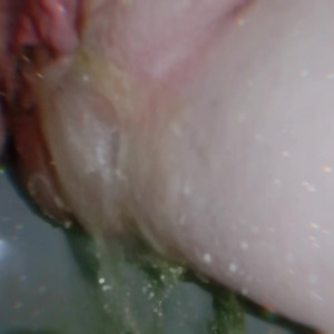 Video by myliemoore published on May 2,2023 00:13:00 - BestThots