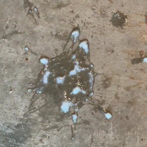 Video by fitbadonk published on August 21,2023 18:13:51 - BestThots