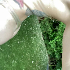 Video by kristinelise published on April 9,2023 10:49:00 - BestThots