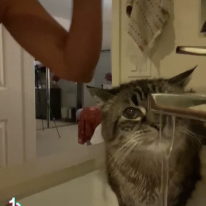 Video by annabellepeaches published on March 14,2023 01:34:00 - BestThots