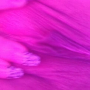 Video by missjennasnow published on April 11,2023 02:37:00 - BestThots
