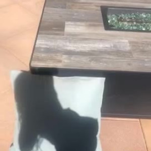Video by sierraaaskyee published on May 11,2023 11:06:00 - BestThots