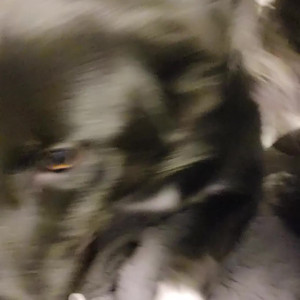Video by lacykelly published on August 20,2023 07:39:00 - BestThots