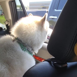 Video by lacykelly published on May 22,2023 13:18:00 - BestThots