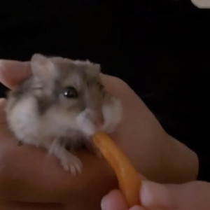 Video by yummykimmy published on August 28,2023 03:56:00 - BestThots