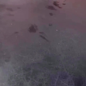 Video by imgemmamassey published on June 27,2023 10:40:00 - BestThots