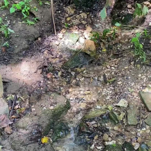 Video by notsoinocent.asian published on April 24,2023 15:45:00 - BestThots