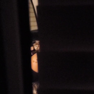 Video by iluvshaunalv published on March 24,2023 13:52:00 - BestThots