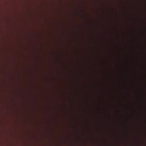 Video by jessicanigri published on June 15,2023 01:41:00 - BestThots