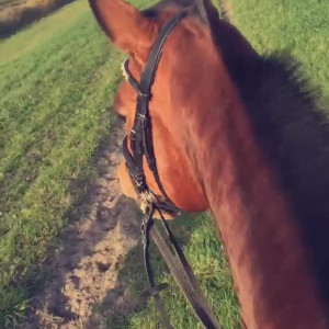 Video by kellymilanaughtycowgirl published on August 21,2023 20:19:08 - BestThots