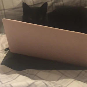 Video by tinyarab published on July 5,2023 18:38:00 - BestThots