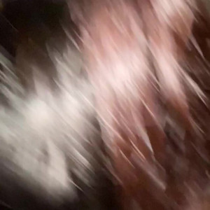 Video by tinyarab published on April 1,2023 05:10:00 - BestThots