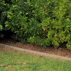 Video by livecleo published on August 20,2023 06:05:00 - BestThots