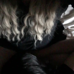 Video by madylensissycd published on April 21,2023 14:06:00 - BestThots