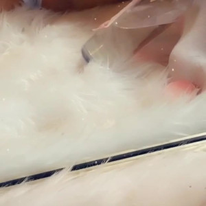 Video by asianbarbietina published on April 4,2023 19:09:00 - BestThots