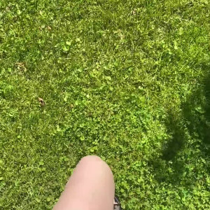 Video by sendmoney123 published on August 11,2023 09:53:00 - BestThots