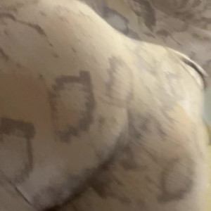 Video by findomcandice published on June 24,2023 14:36:00 - BestThots