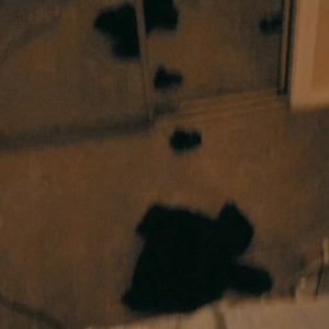 Video by averyellisxo published on May 5,2023 01:04:00 - BestThots